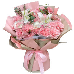 22朵粉色康乃馨百合，最深深的祝福