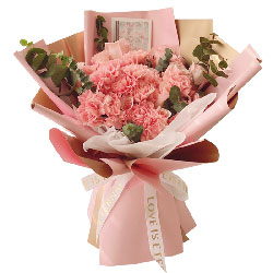 11朵粉色康乃馨粉玫瑰，祝你开开心心