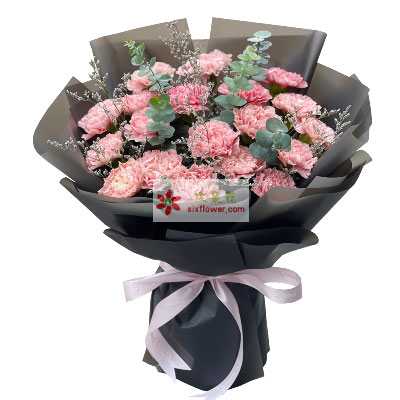 19朵粉色康乃馨，无限的祝福