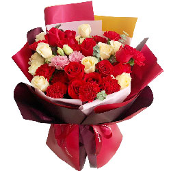 20朵玫瑰红色康乃馨，幸福美满的家庭