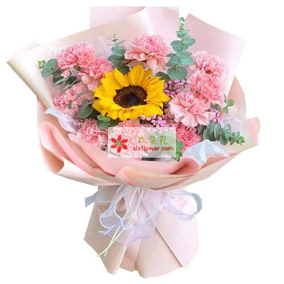 11朵粉色康乃馨向日葵，祝福你一生平安幸福