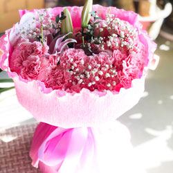 29朵粉色康乃馨百合，生活甜蜜蜜