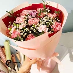 11朵粉色康乃馨，永久的幸福
