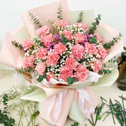 20朵粉色康乃馨，您在我的心中很重要