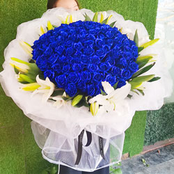 99支蓝玫瑰，花朵为你绽放