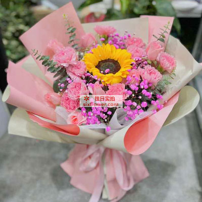 11朵粉色康乃馨玫瑰向日葵，永远美丽的你