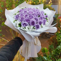 29朵紫玫瑰…