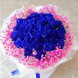 33朵蓝玫瑰，把你装在心里