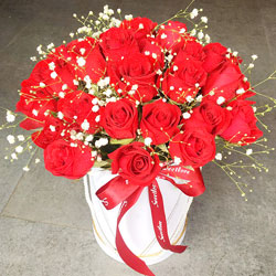 33朵红玫瑰桶装鲜花，深情的告白