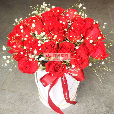 33支红玫瑰桶装鲜花，爱的陪伴