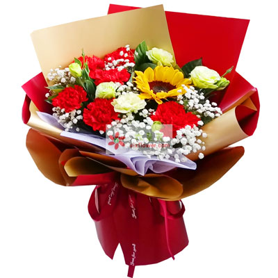 6朵红色康乃馨向日葵，生活幸福安康