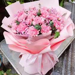21朵粉色康乃馨，最新鲜的祝福