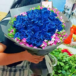 33朵蓝玫瑰，洋溢着爱的甜蜜