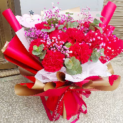 11朵红色康乃馨，幸福快乐满屋