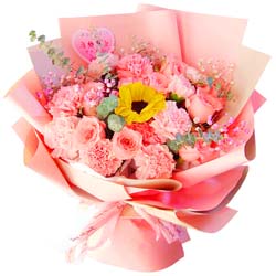 11朵粉色康乃馨玫瑰向日葵，美丽健康
