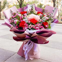 12朵紫玫瑰康乃馨，一辈子的璀璨与梦幻
