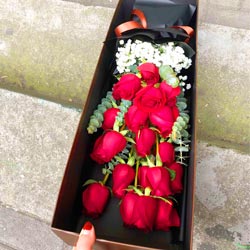 21朵红玫瑰满天星礼盒，温携手并进