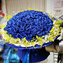 99朵蓝玫瑰，情人的祝福