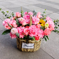 22朵粉色康乃馨玫瑰花篮，精彩的人生