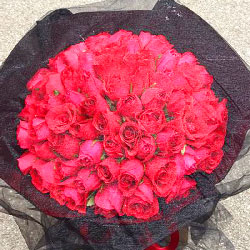 99朵红玫瑰，向你表达我的爱