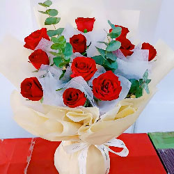 11朵红玫瑰尤加利，温暖与幸福