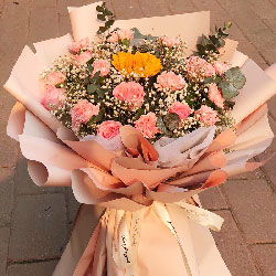 12朵粉色康乃馨戴安娜粉玫瑰，健康都送你
