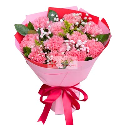 11朵粉色康乃馨，祝你一生幸福