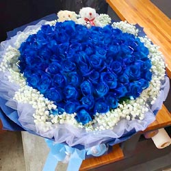 99朵蓝玫瑰，爱你的心夜夜亮晶晶