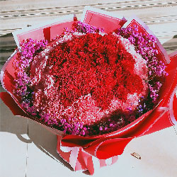 66朵红色康乃馨，懂得感恩