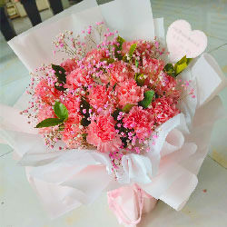 19朵粉色康乃馨满天星，爱和关心
