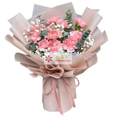 12朵粉色康乃馨满天星，在您的爱中成长