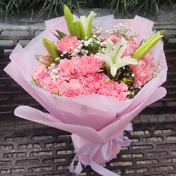 28朵粉色康乃馨百合，心目中的最爱