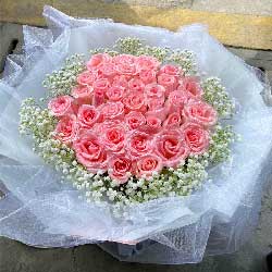 33朵戴安娜粉玫瑰，爱情永芬芳