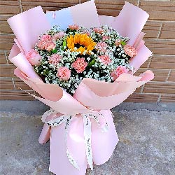 11朵粉色康乃馨戴安娜粉玫瑰，愿你天天都有好心情