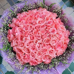 99朵戴安娜粉玫瑰，你最可爱