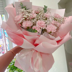 10朵粉色康乃馨，幸福与你两团圆