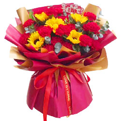 19朵红色康乃馨向日葵，无尽的快乐