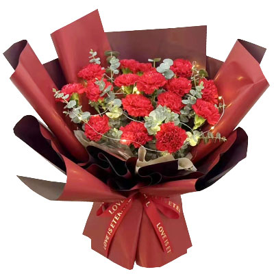 19朵红色康乃馨，永远的祝福和感恩