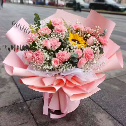 11朵康乃馨粉玫瑰，祝你健康快乐