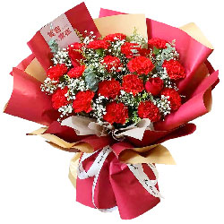 18朵红色康乃馨红玫瑰，幸福和富足