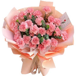33朵粉色康乃馨，年轻的心