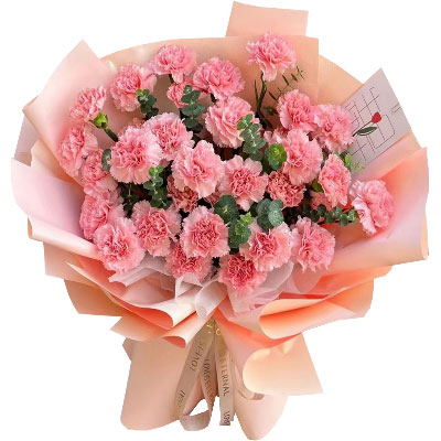 33朵粉色康乃馨，年轻的心