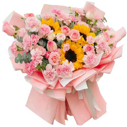 19朵康乃馨粉玫瑰，幸福健康永远在一起