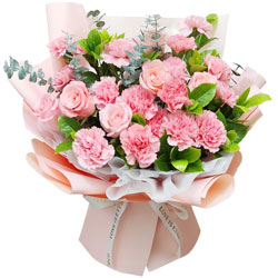 16朵粉色康乃馨6朵粉玫瑰，欢乐旋律