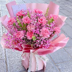 11朵粉色康乃馨满天星，日子甜蜜