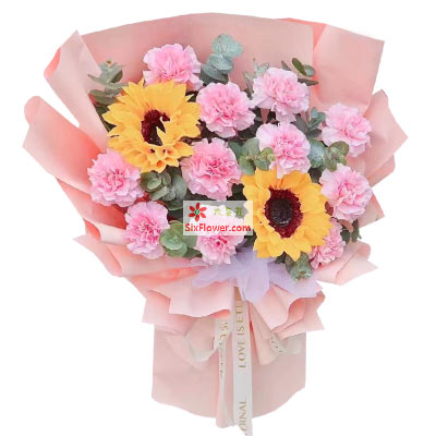 11朵粉色康乃馨向日葵，向亲爱的您致敬