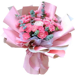 22朵粉色康乃馨粉玫瑰，天涯海角都有您的爱