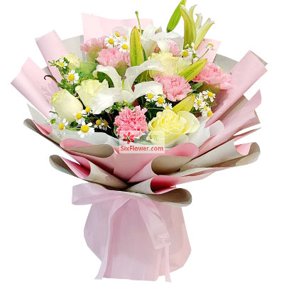 9朵粉色康乃馨白玫瑰，幸福快乐