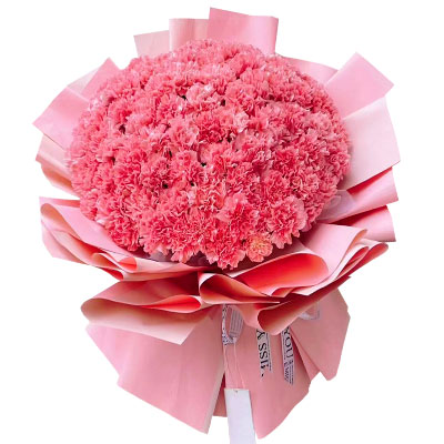100朵粉色康乃馨，最幸福的时光