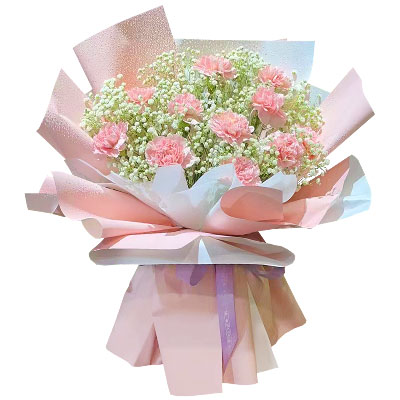 11朵粉色康乃馨满天星，祝妈妈身体健康